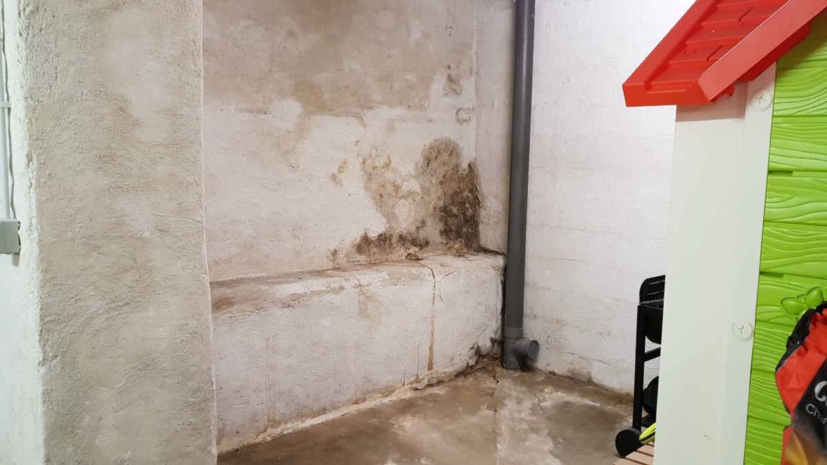 Infiltrations d'eau - Expertise humidité à Vitry-sur-Seine